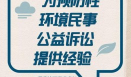 给澎湃新闻爆料的是谁呀,揭秘澎湃新闻爆料者身份之谜